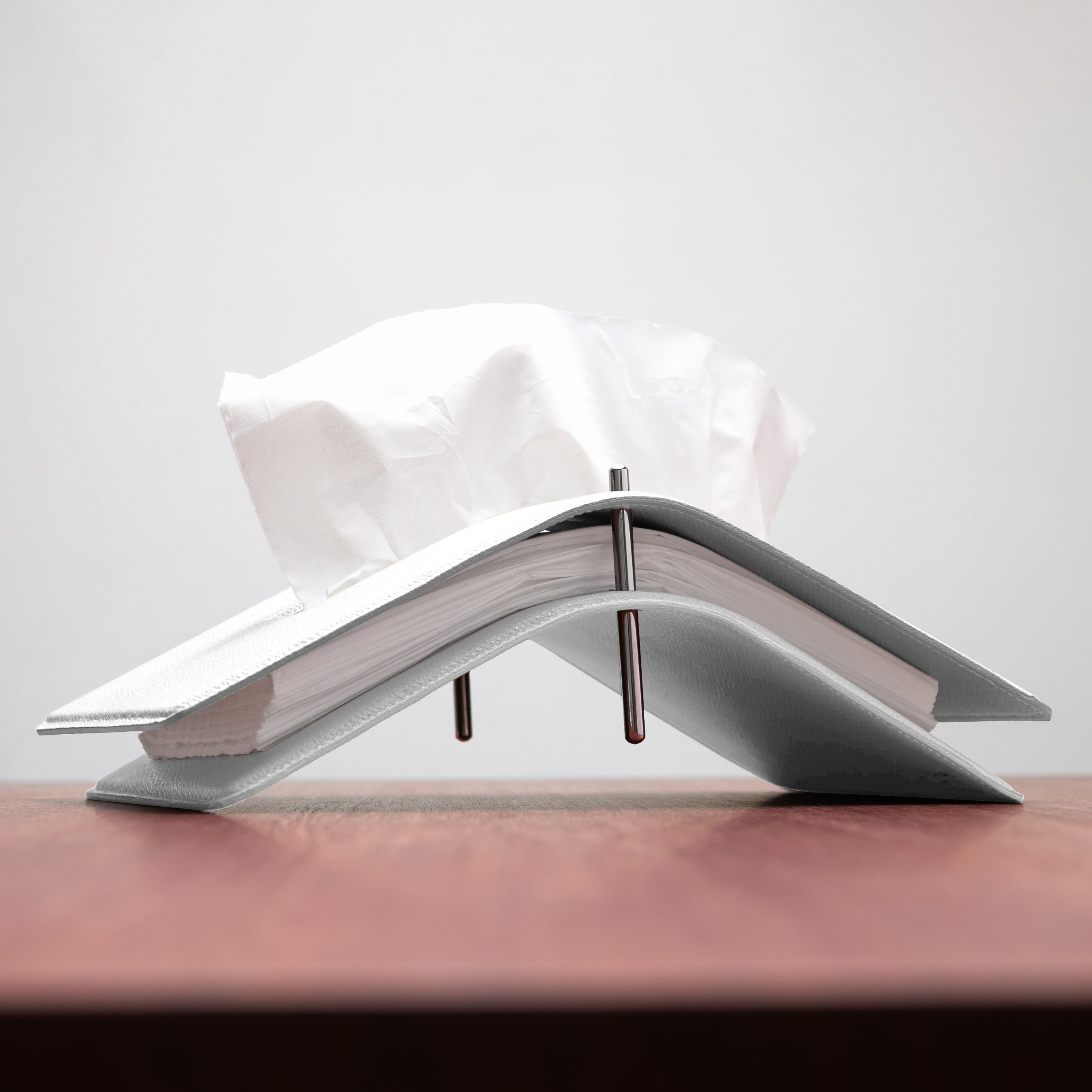 Tissue Paper Holder / Italy Leather